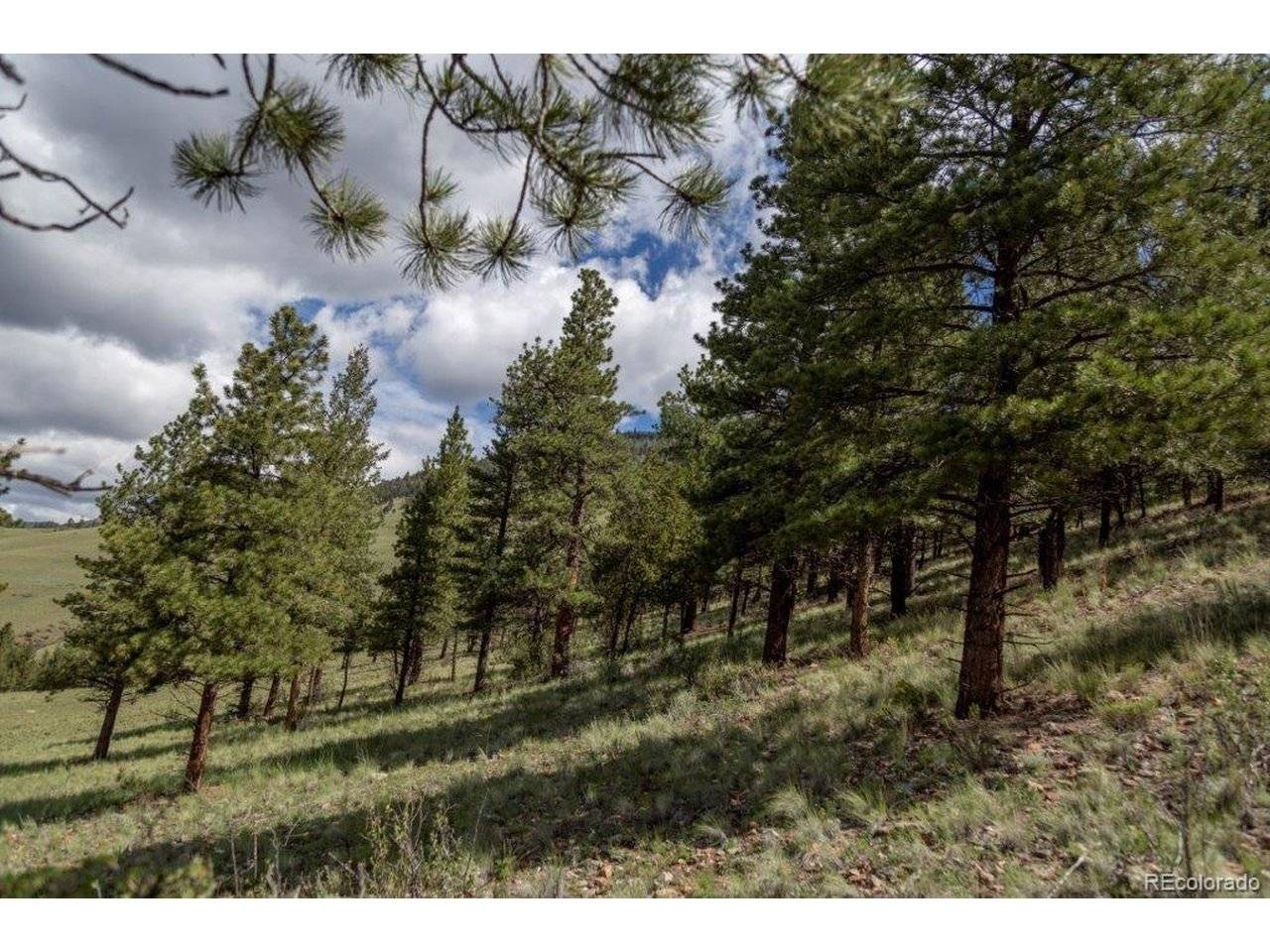 Address not disclosed, Creede, CO 81130