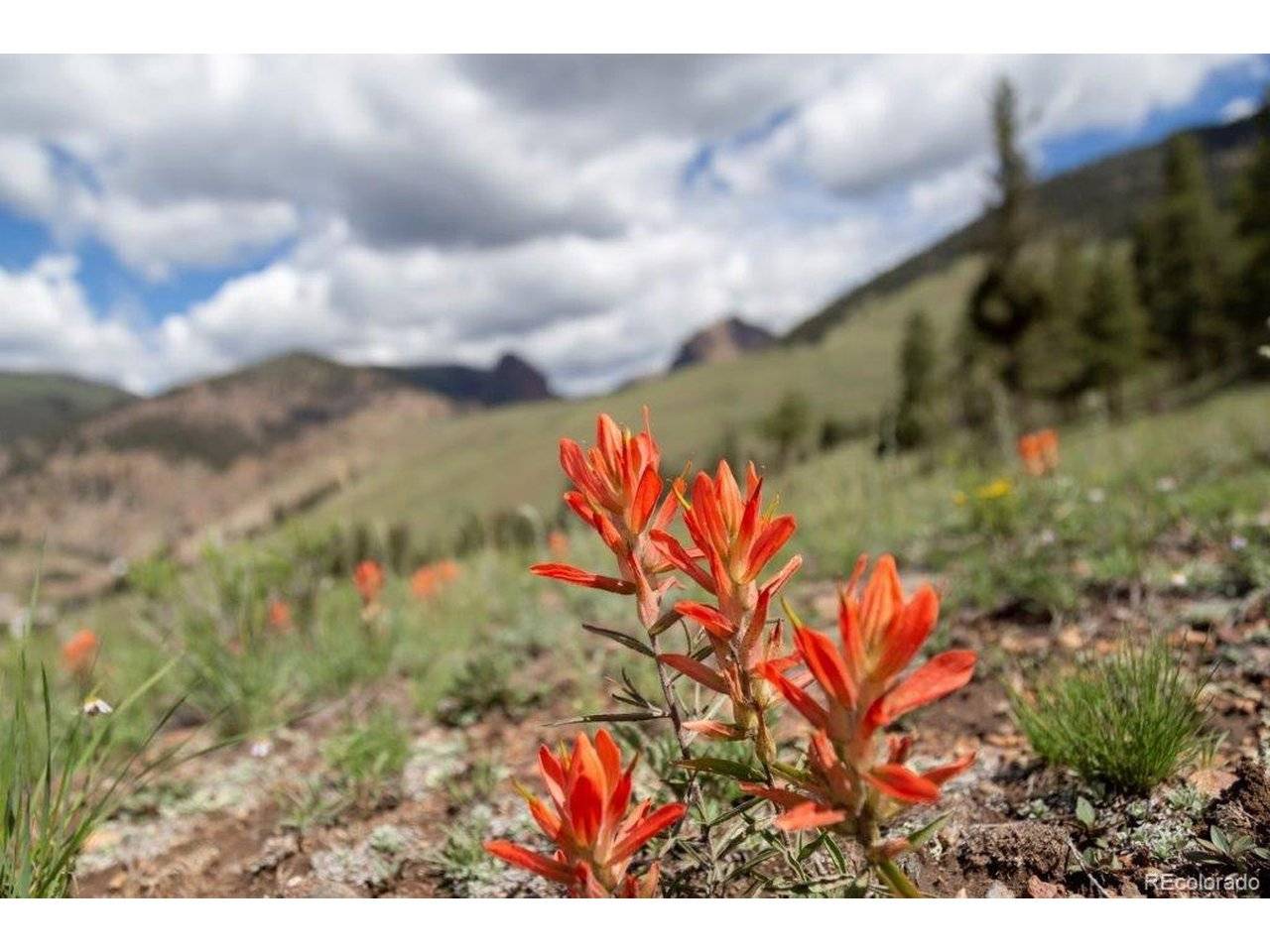 Address not disclosed, Creede, CO 81130