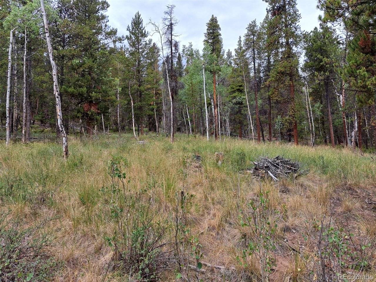 1201 Beaver Creek, Fairplay, CO 80440