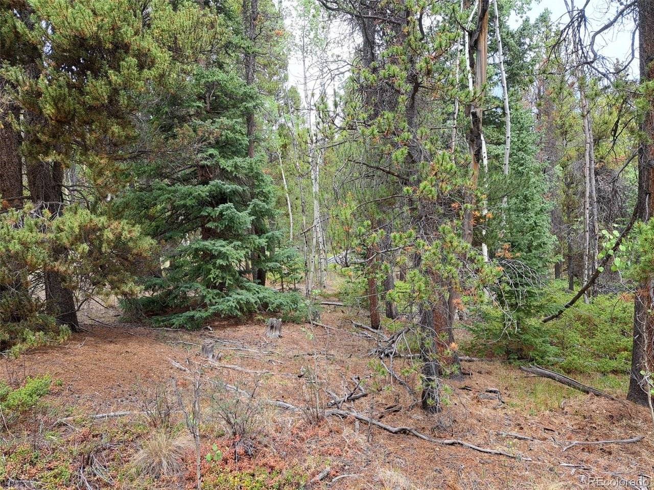 1201 Beaver Creek, Fairplay, CO 80440