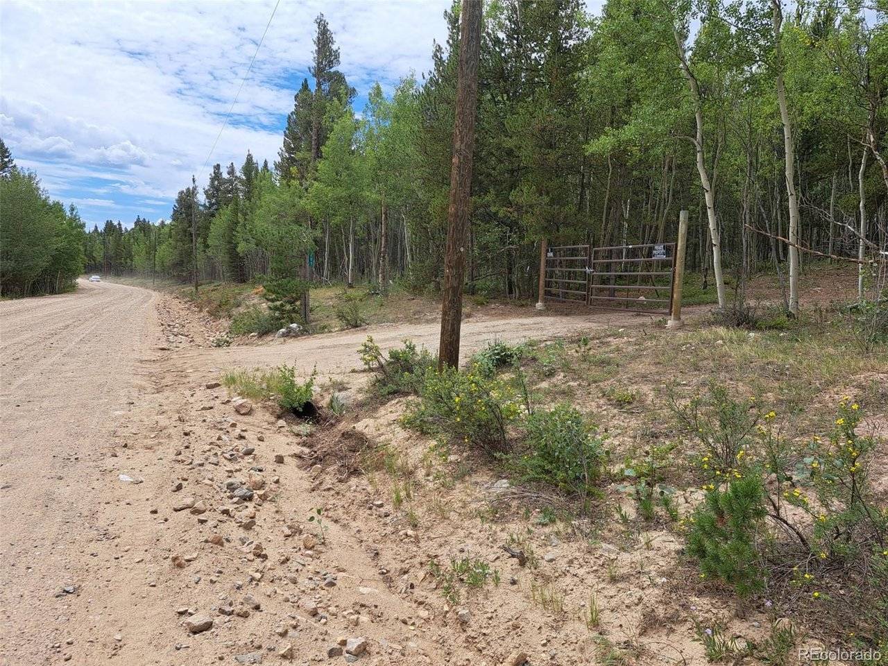 1201 Beaver Creek, Fairplay, CO 80440