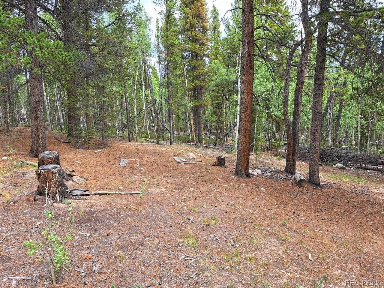 1201 Beaver Creek, Fairplay, CO 80440