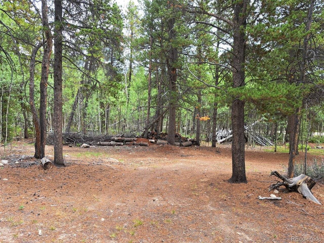 1201 Beaver Creek, Fairplay, CO 80440