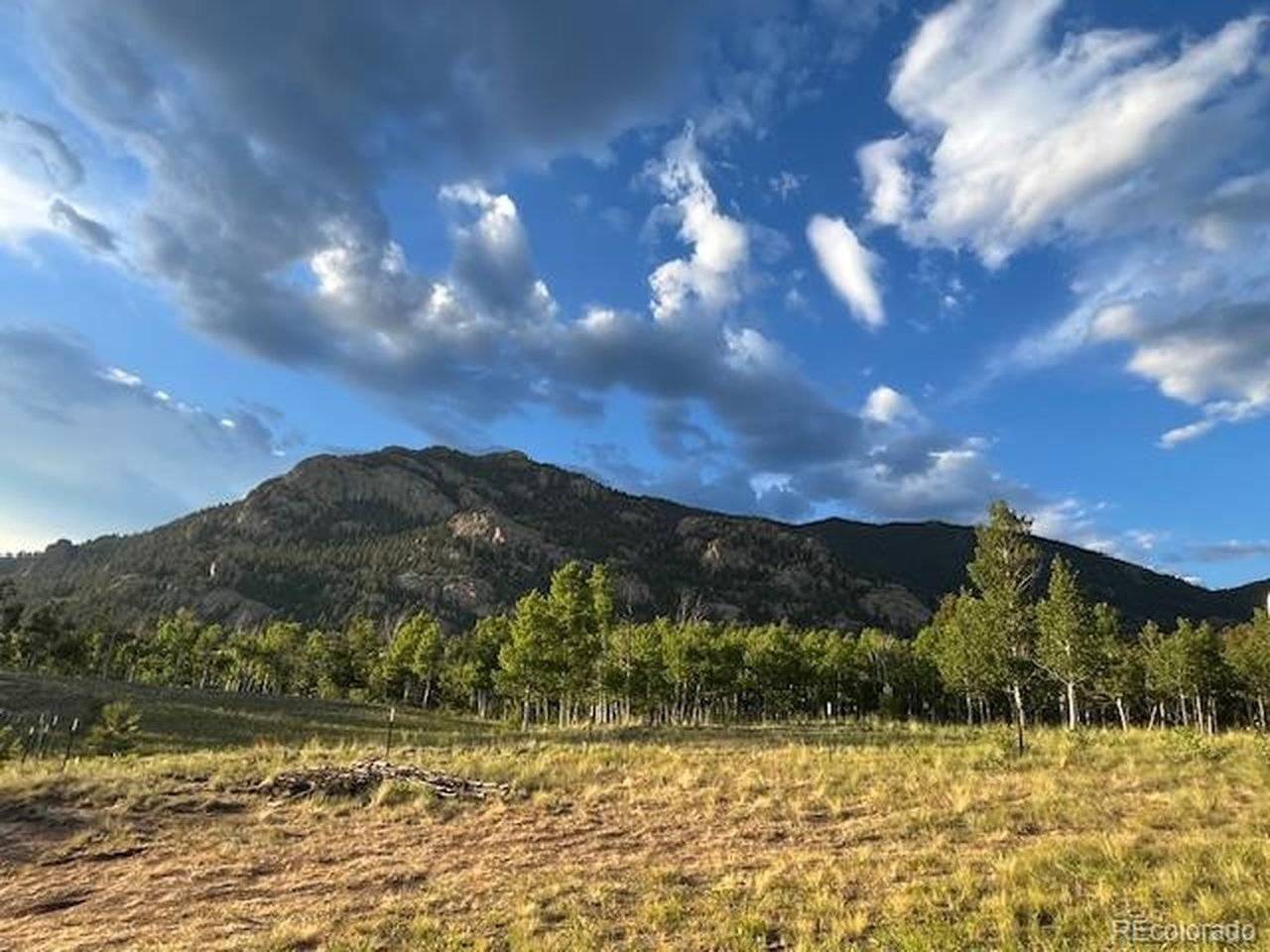 206 Emerald, Lake George, CO 80827