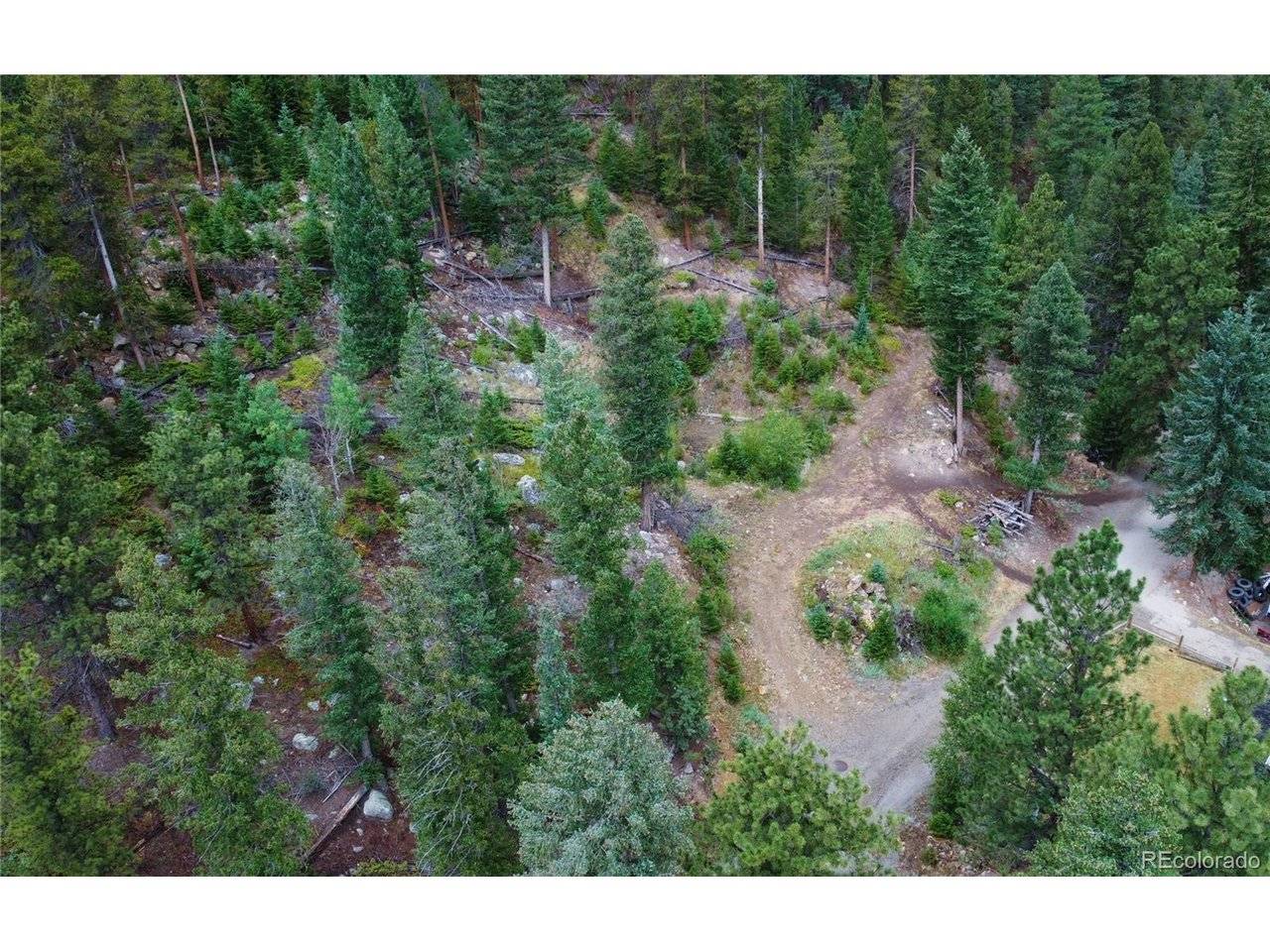 256 Capital Road, Dumont, CO 80436