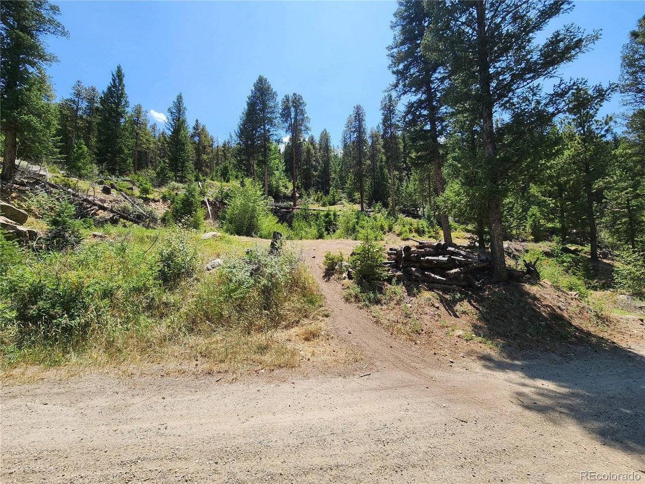 256 Capital Road, Dumont, CO 80436