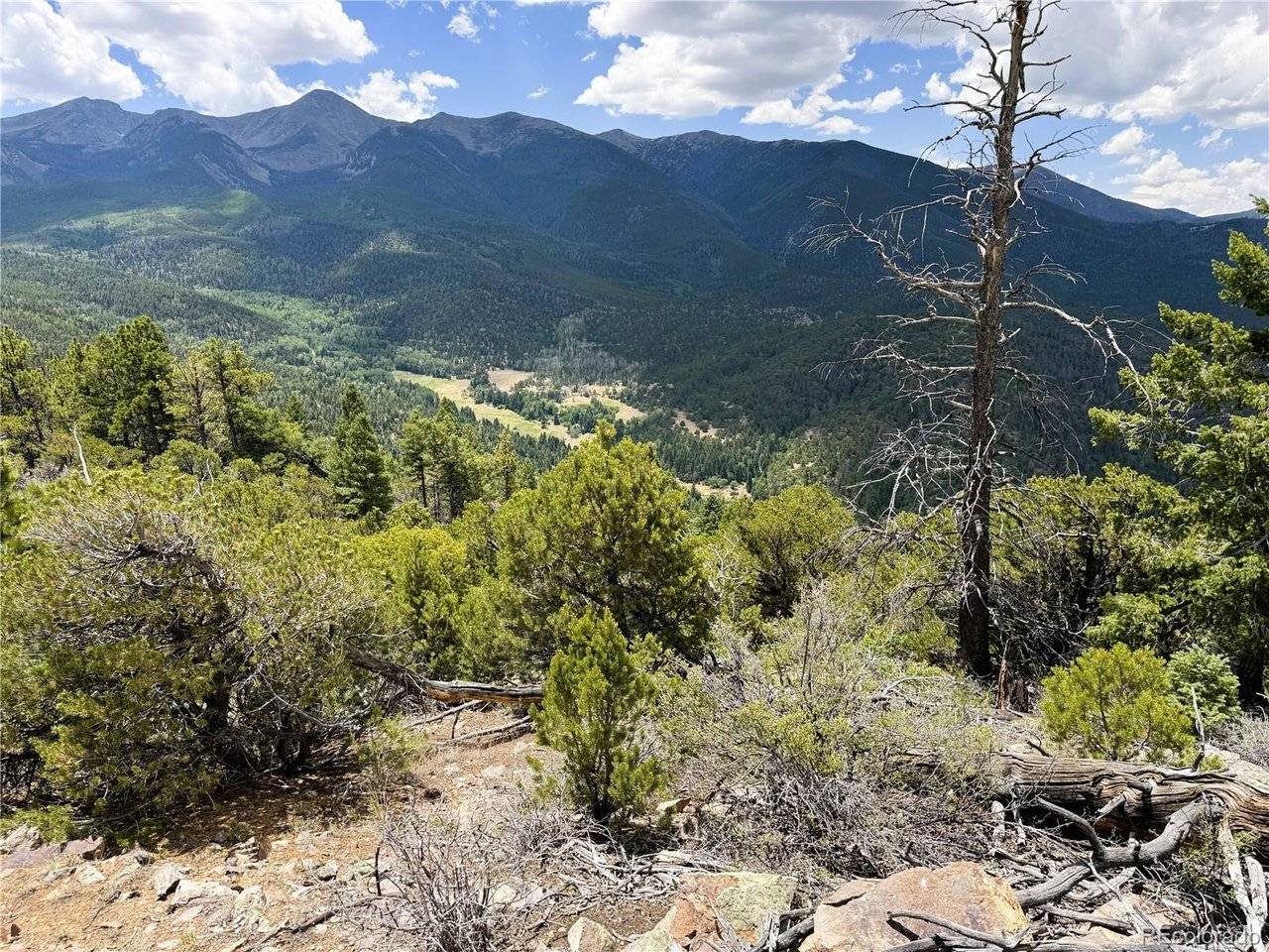 54 Knotty Pine, Howard, CO 81233