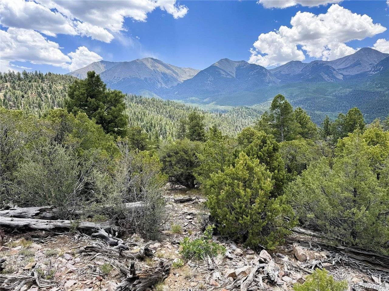 54 Knotty Pine, Howard, CO 81233