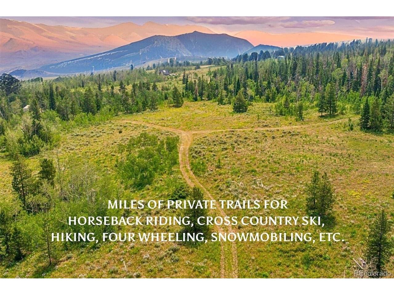 733 Spring Creek Ranch, Silverthorne, CO 80498