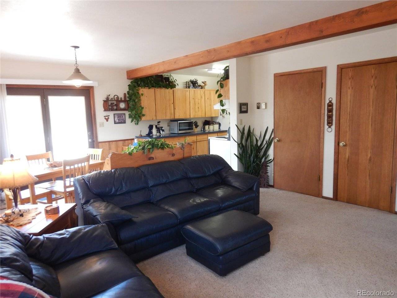 395 Kit Carson, South Fork, CO 81154