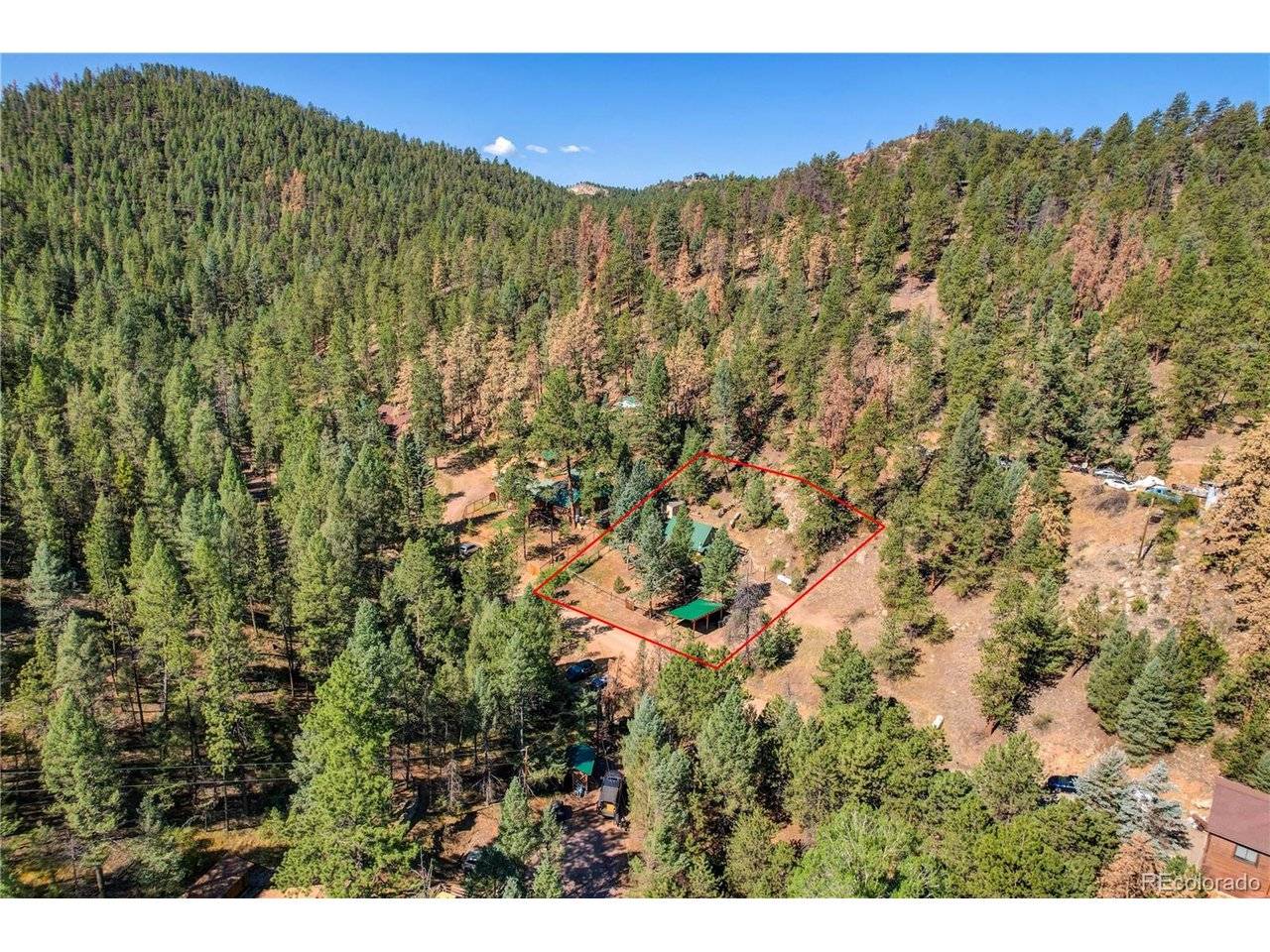 14550 S Elk Creek, Pine, CO 80470