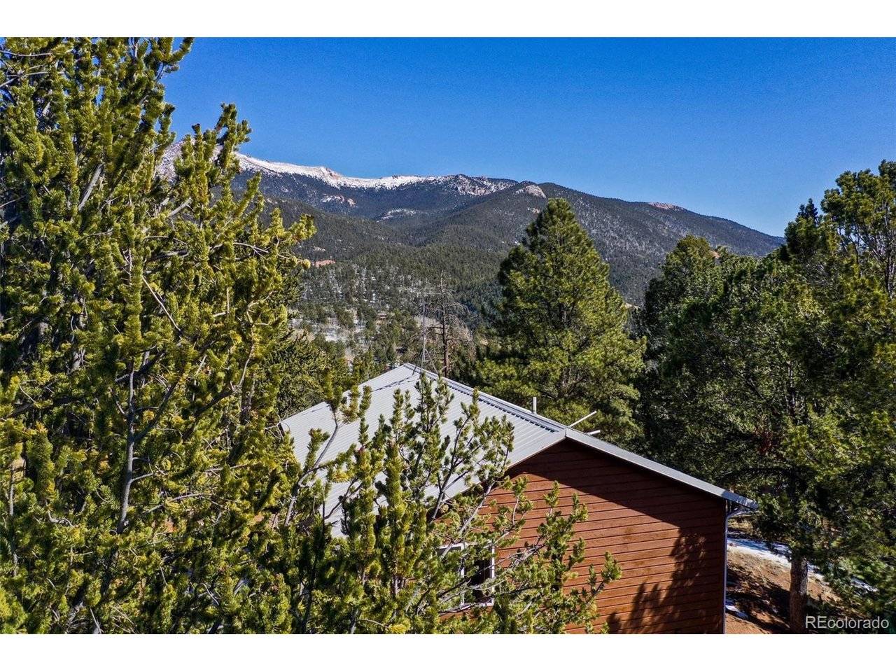 493 Horseshoe, Divide, CO 80814