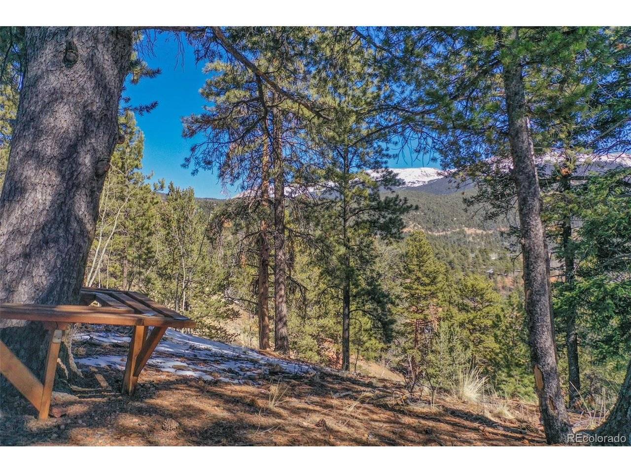 493 Horseshoe, Divide, CO 80814