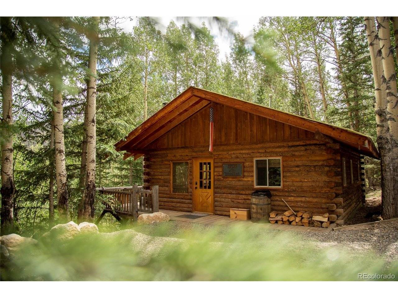 1001 CR 17 #Aspen Cabin, Lake City, CO 81235