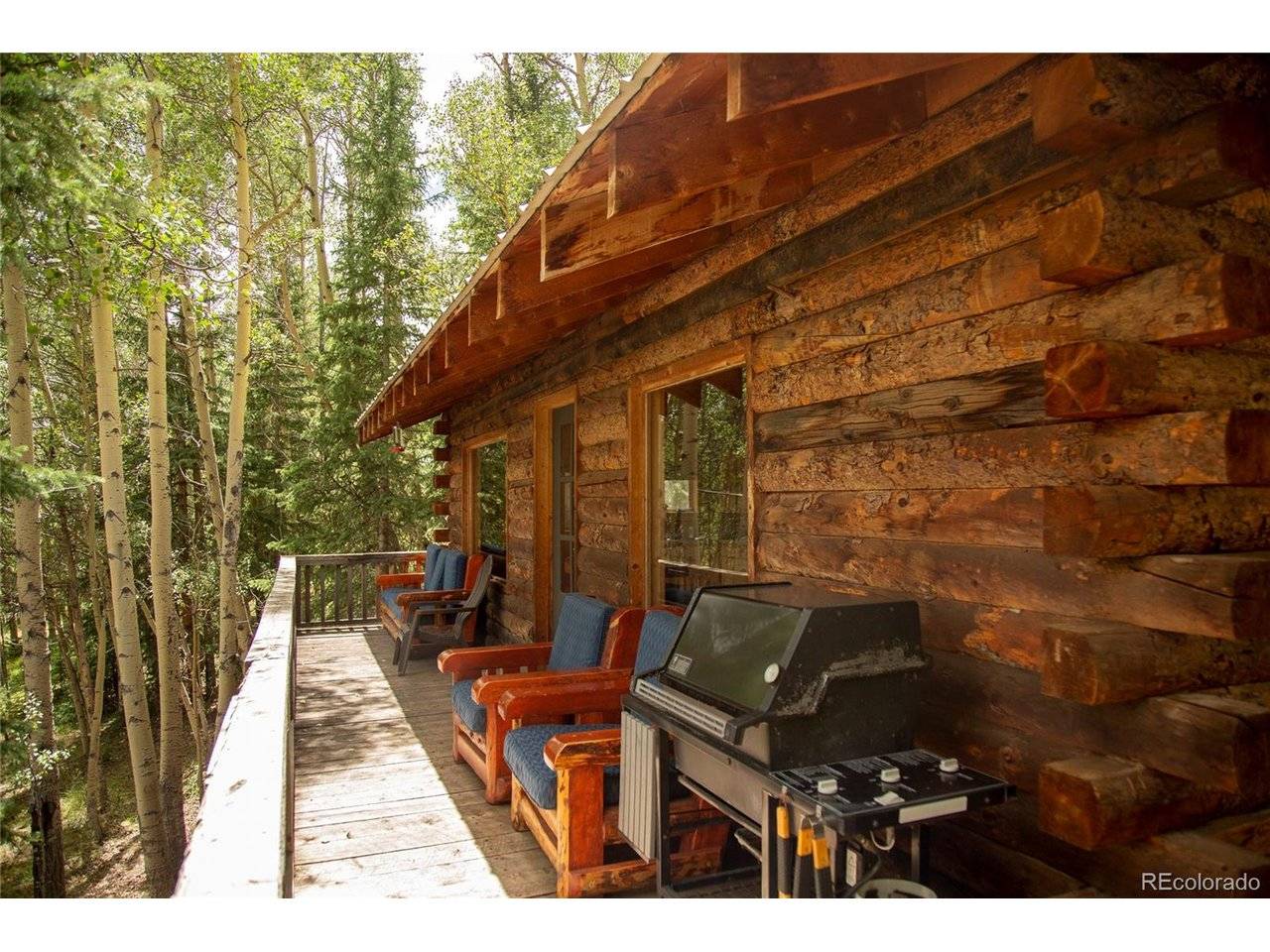 1001 CR 17 #Aspen Cabin, Lake City, CO 81235