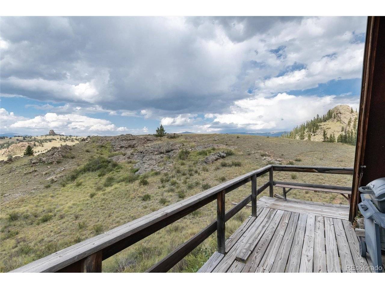 63 Welsh Cob, Como, CO 80432
