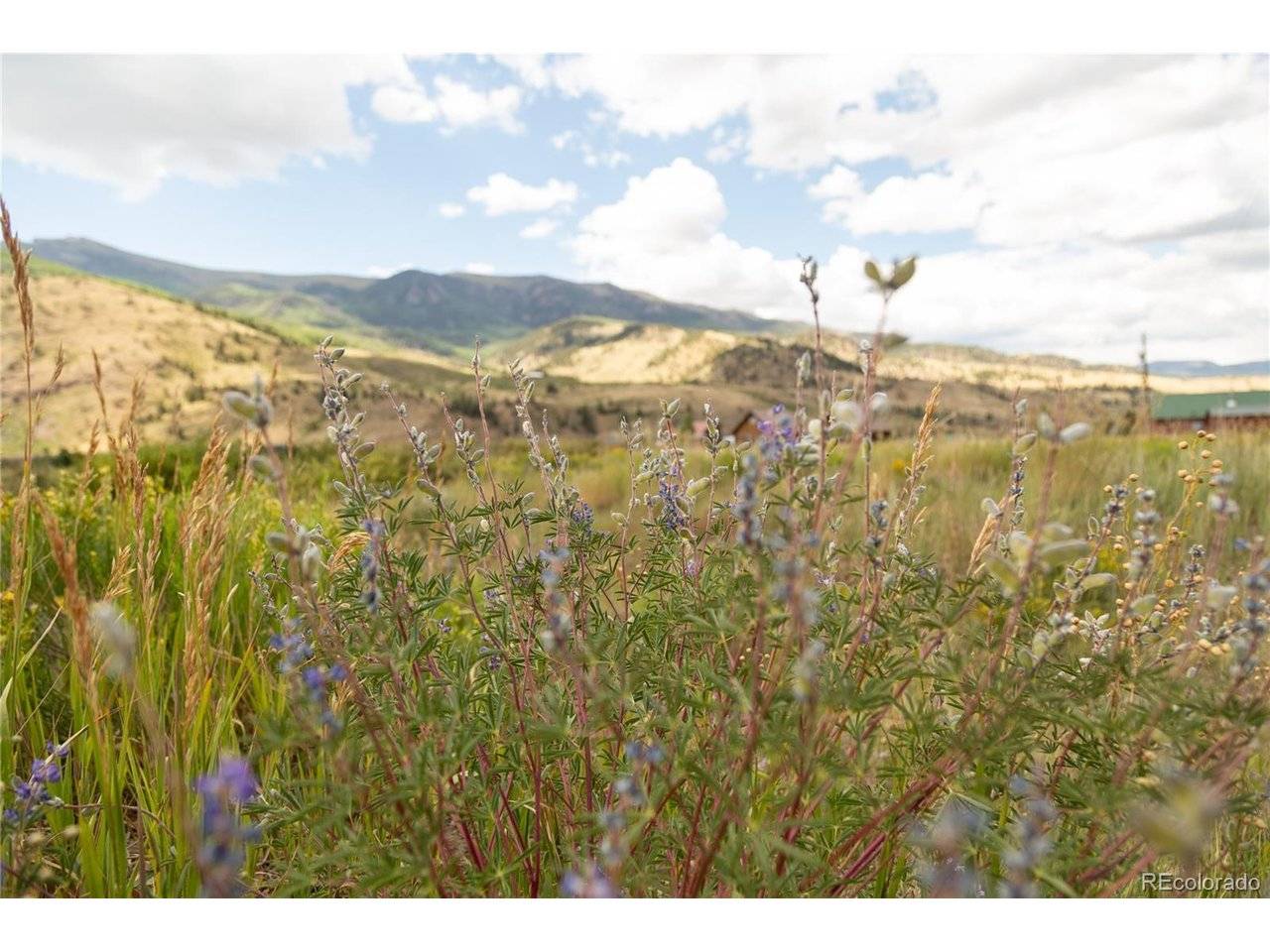 341 Spruce, Creede, CO 81130