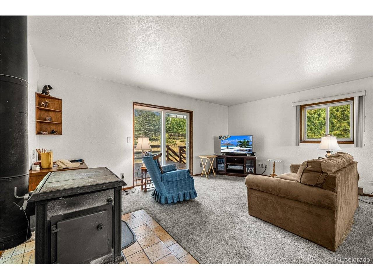 206 Little Horn, Westcliffe, CO 81252