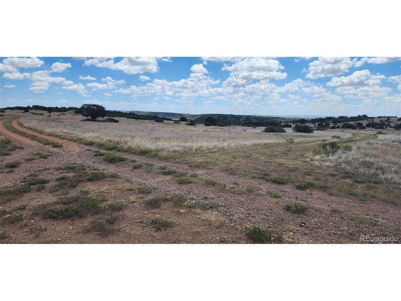 333 Patsy, Colorado City, CO 81019