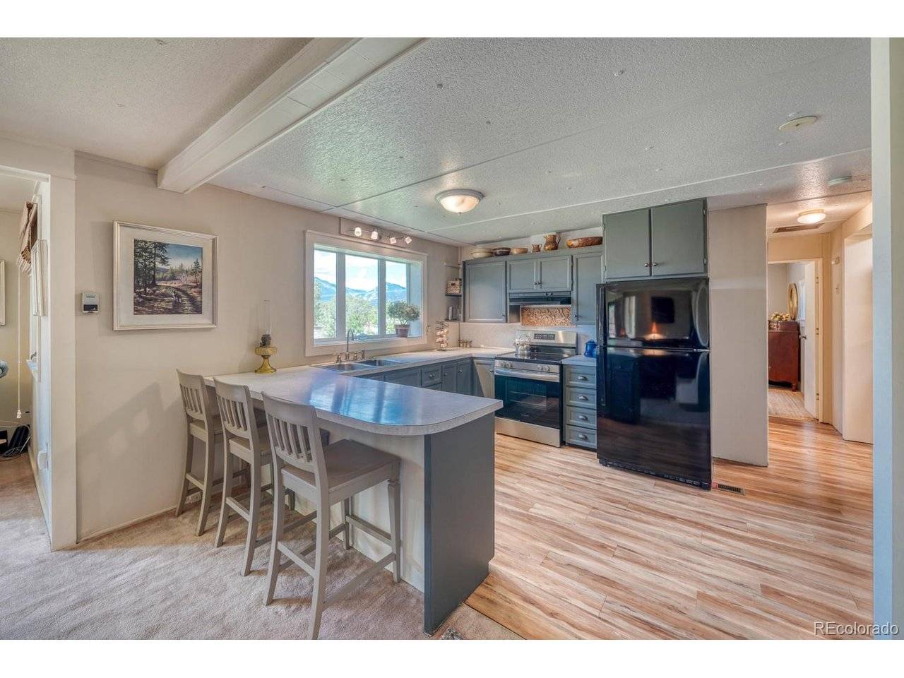 30350 County Road 383, Buena Vista, CO 81211