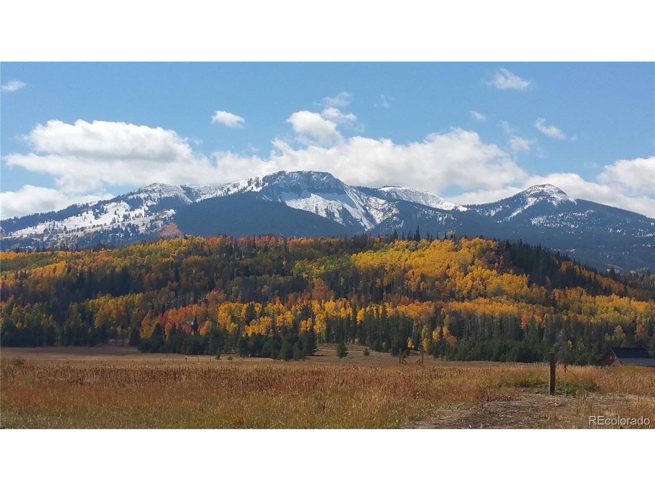 59045 Button Willow, Clark, CO 80428