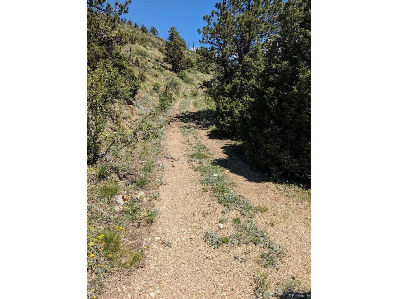 0 Maud L, Dumont, CO 80436