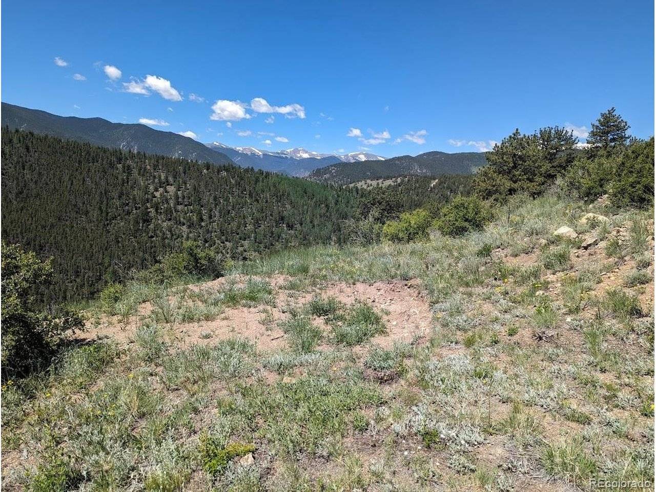 0 Maud L, Dumont, CO 80436