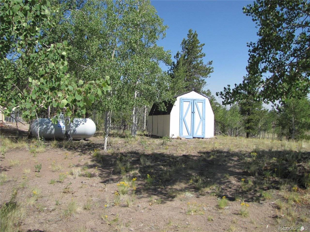 560 Concho, Hartsel, CO 80449