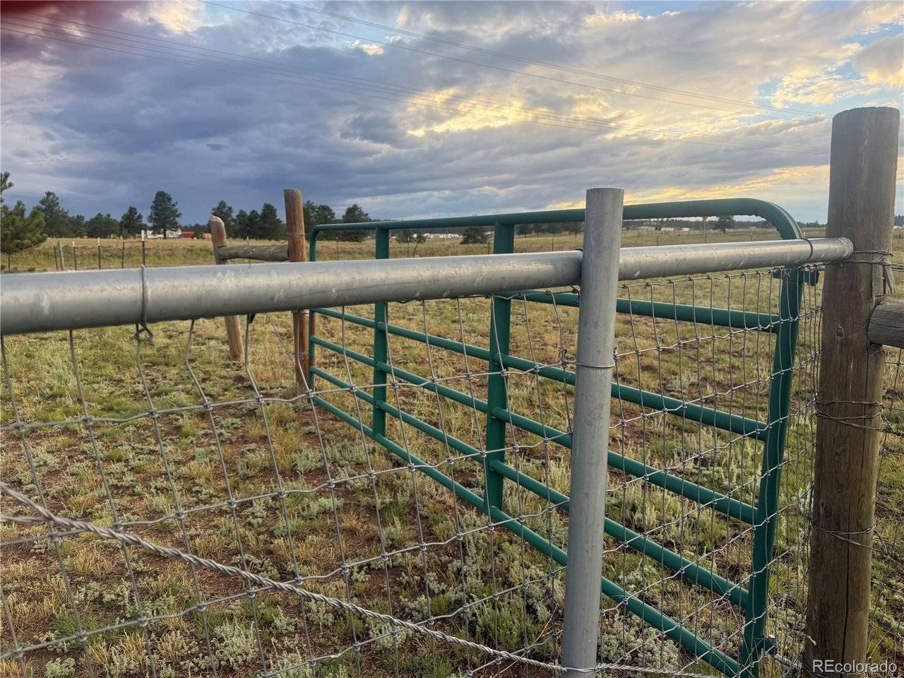 17 Garfield, Florissant, CO 80816