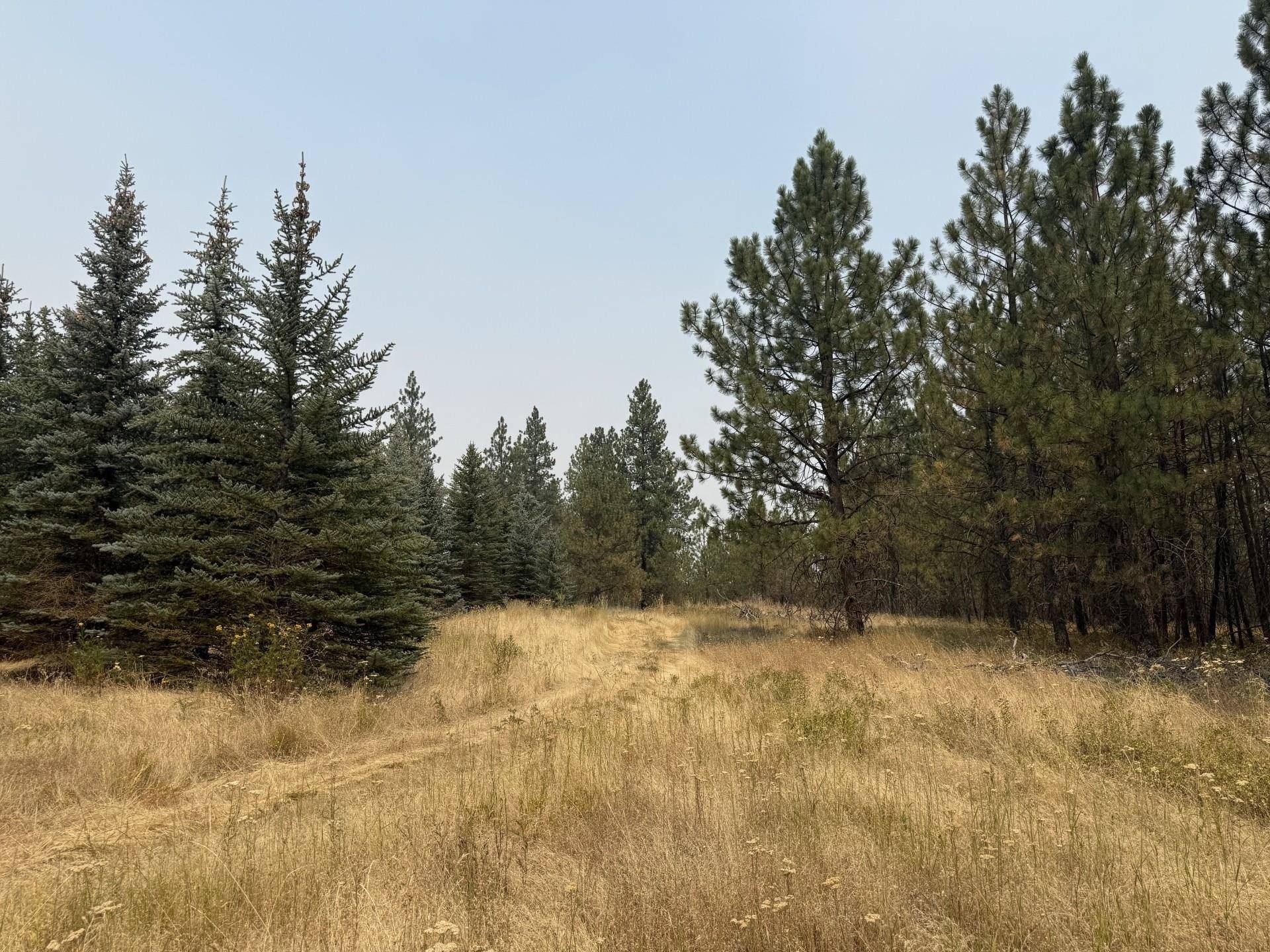 112XX S Spruce Tree Ln, Mica, WA 99023