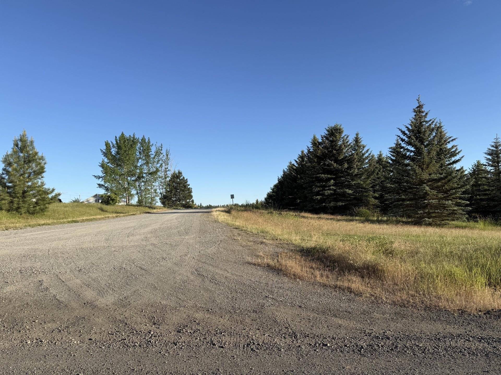111XX S Spruce Tree Ln, Mica, WA 99023