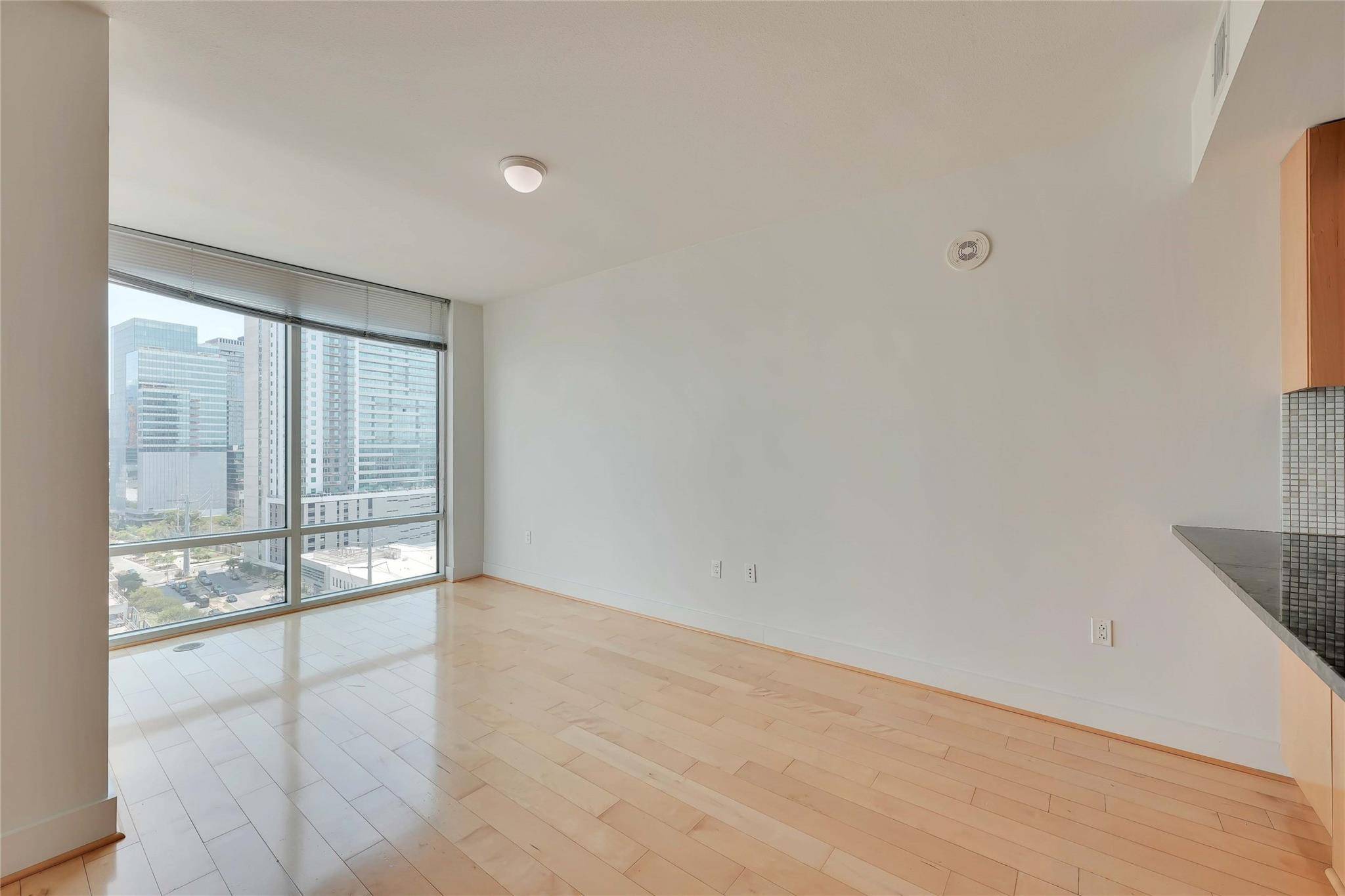 300 Bowie ST #1502, Austin, TX 78703