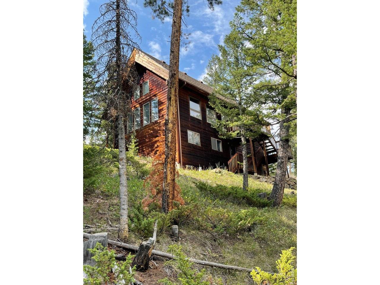 785 S Skinner, Allenspark, CO 80510