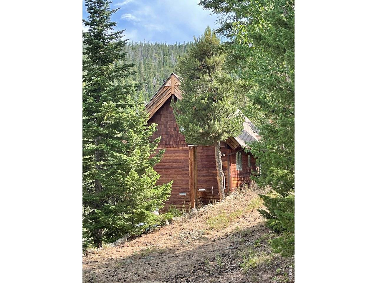 785 S Skinner, Allenspark, CO 80510