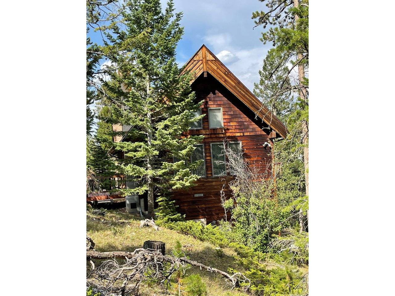 785 S Skinner, Allenspark, CO 80510