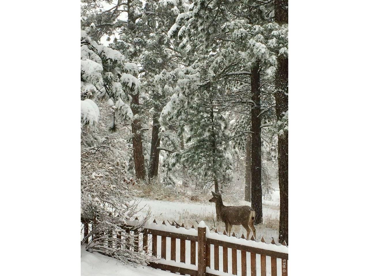 32048 Coal Creek Canyon, Golden, CO 80403
