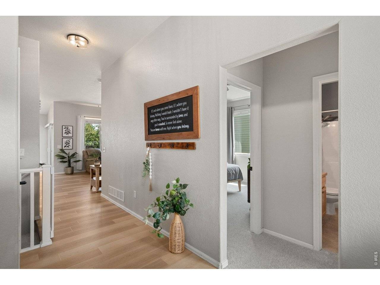 7374 Ocean Ridge, Wellington, CO 80549