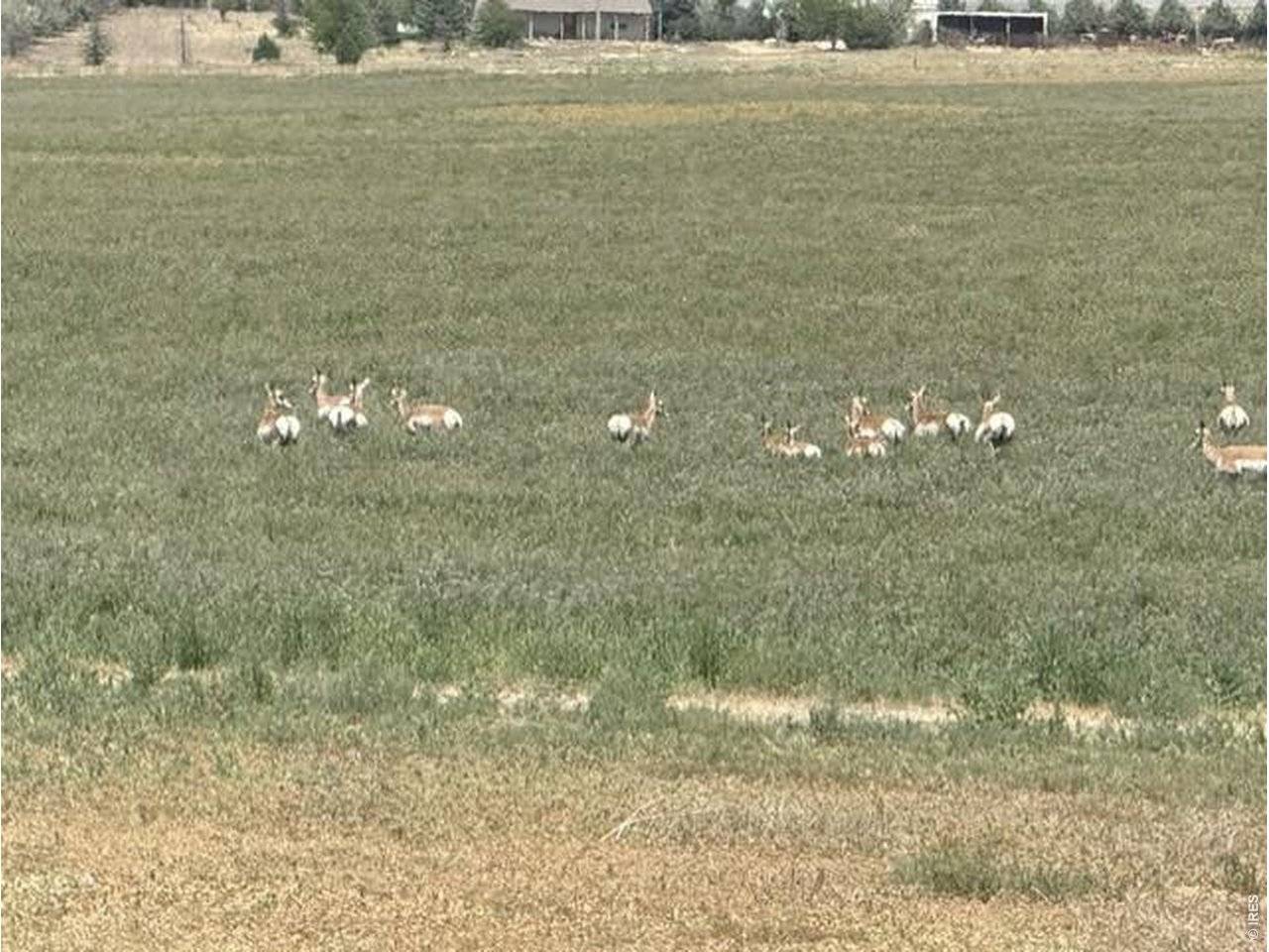 0 County Road 63, Gill, CO 80624