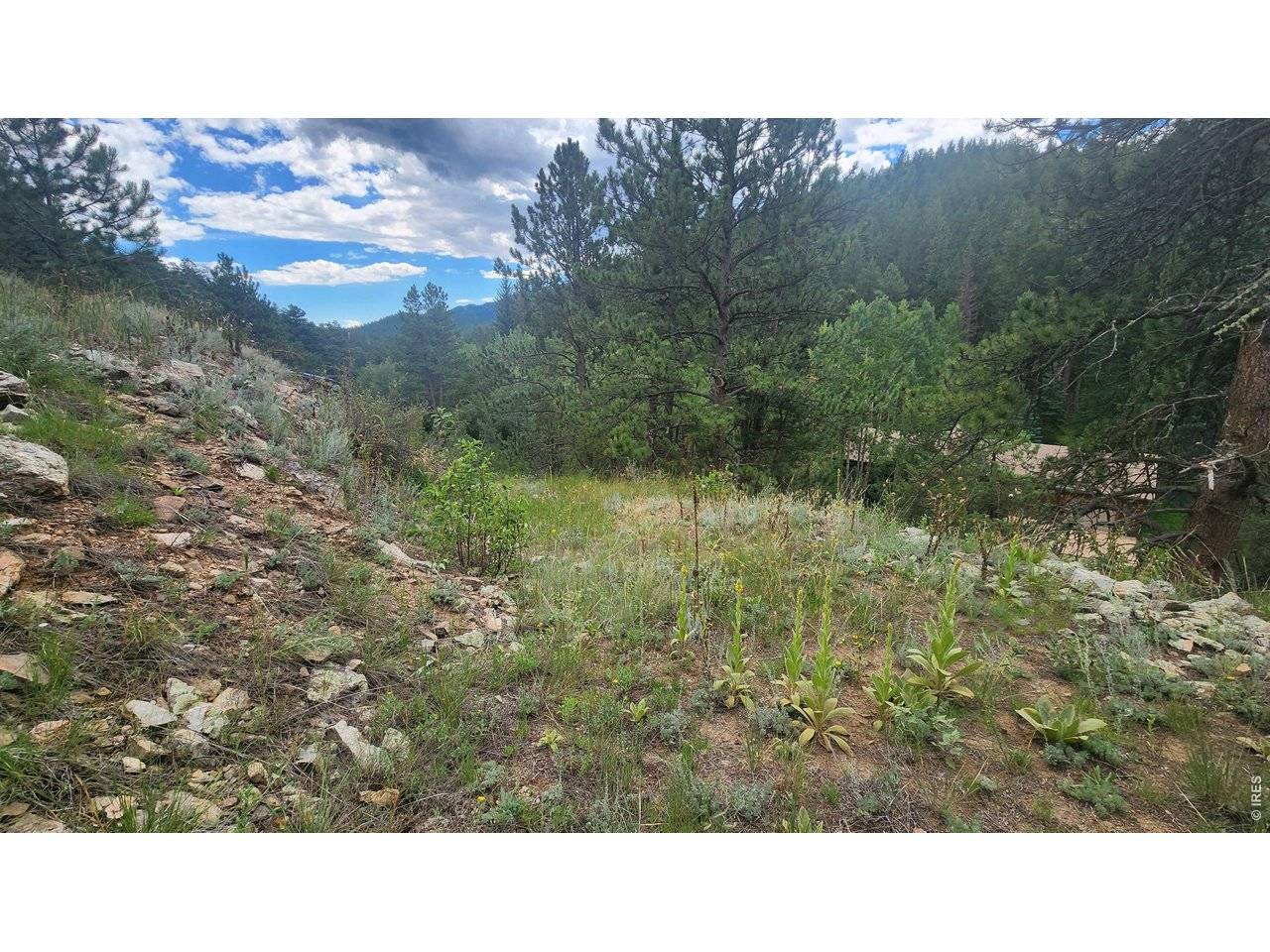 0 Streamside, Glen Haven, CO 80532