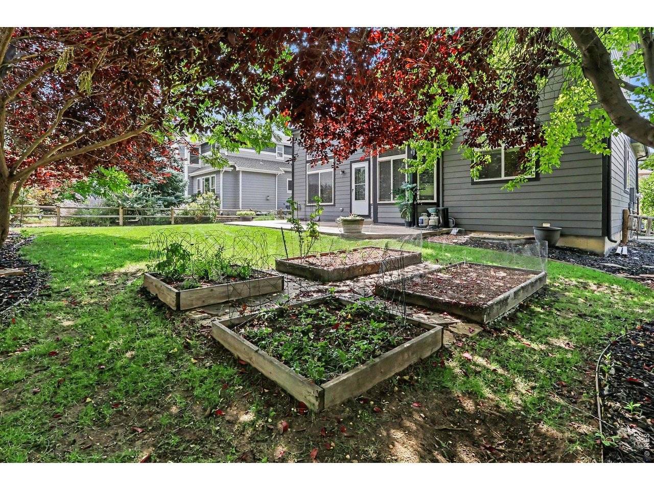 8106 Northstar, Windsor, CO 80528