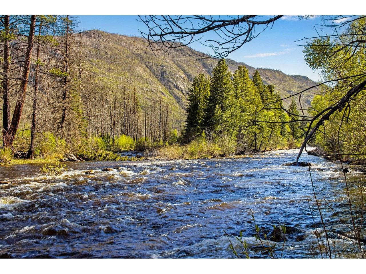 44174 Poudre Canyon, Bellvue, CO 80512