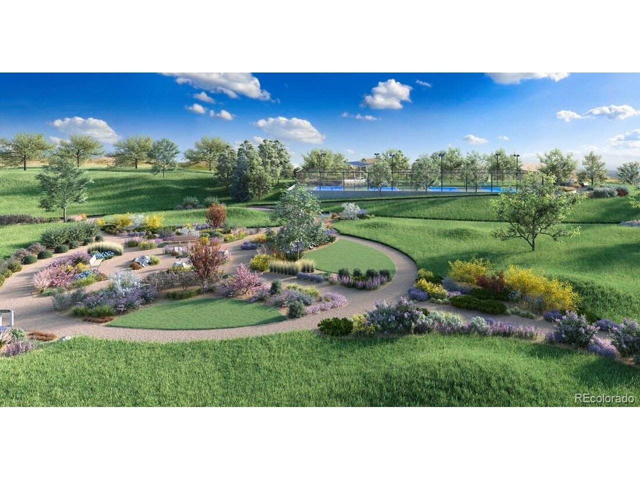 6272 Verve, Parker, CO 80134