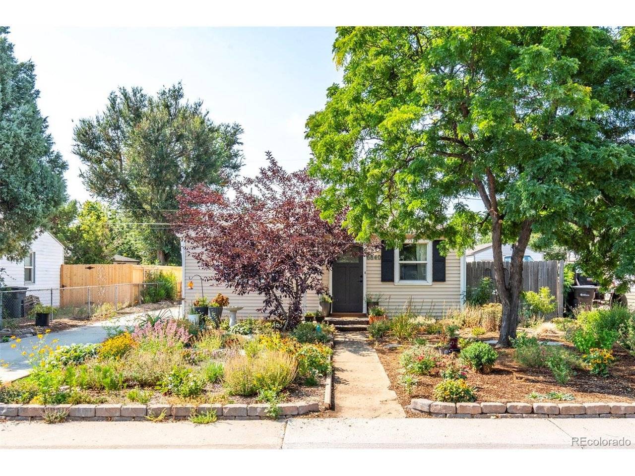 6840 Reno, Arvada, CO 80002