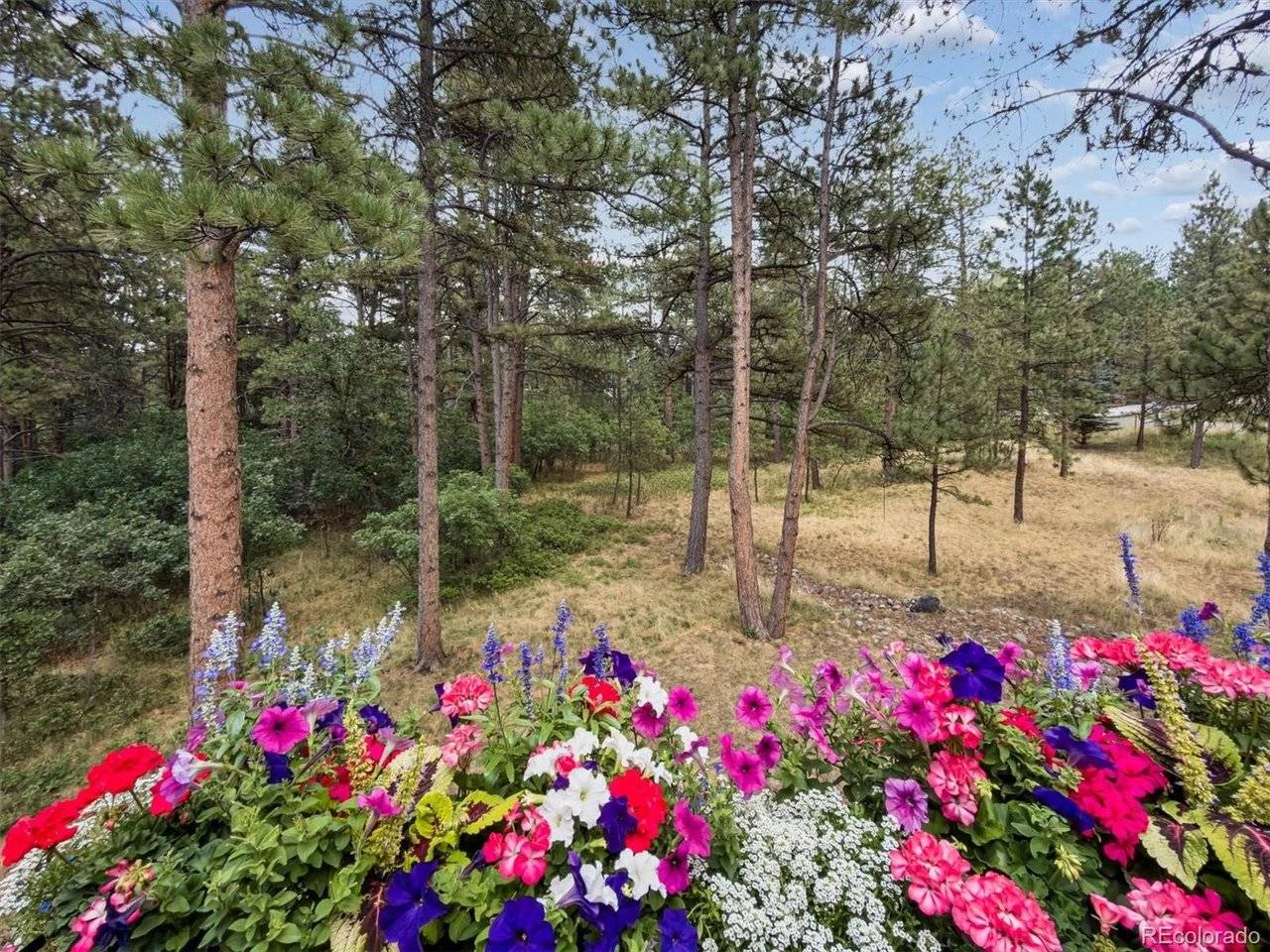 1240 Hoosier, Larkspur, CO 80118