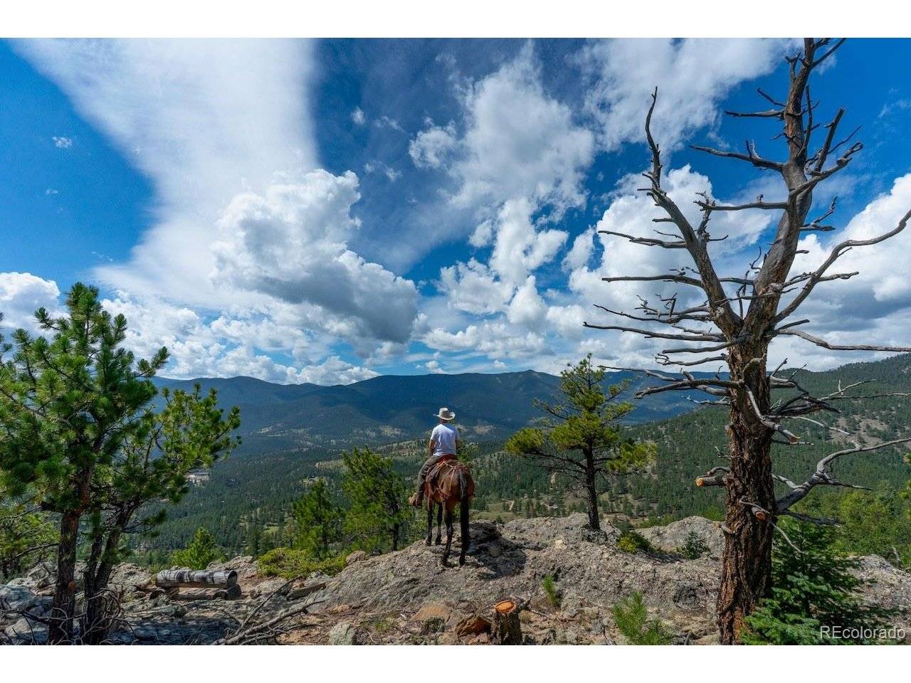 150 Summit, Bailey, CO 80421