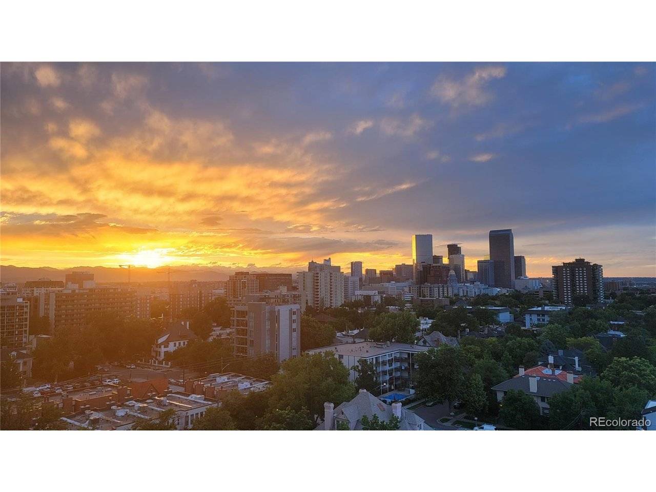 800 N Pearl #1109, Denver, CO 80203