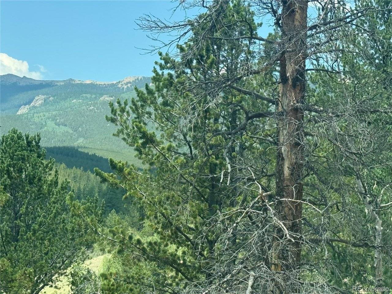 63 Fitzsimmons, Bailey, CO 80421