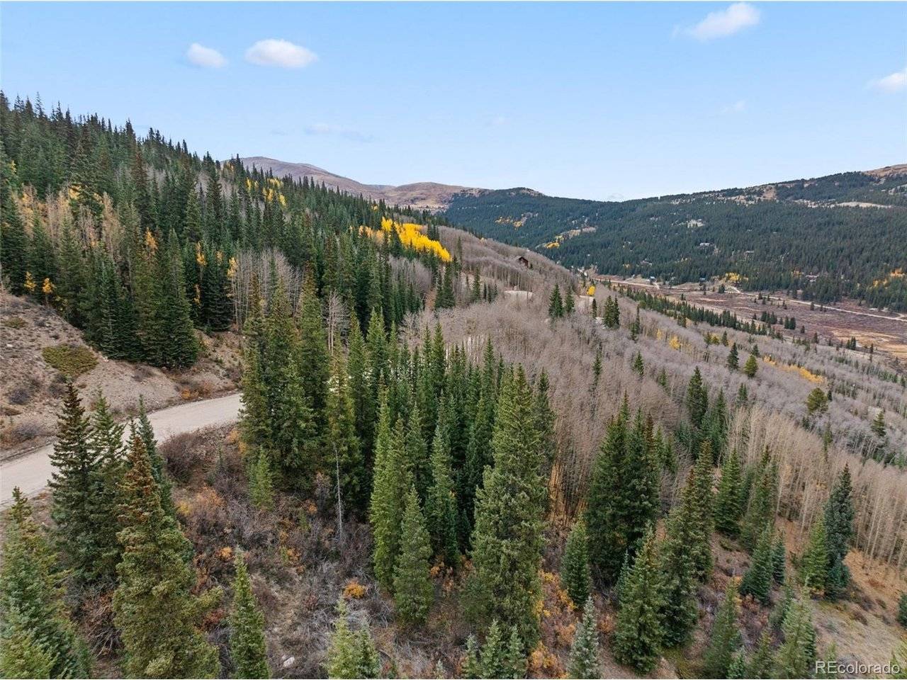 Roberts, Alma, CO 80420