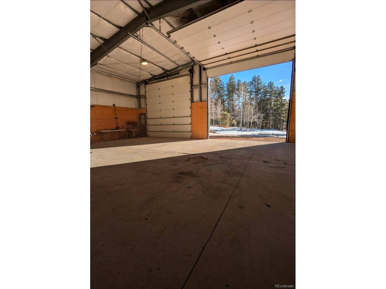 100 Mills Ranch, Woodland Park, CO 80863