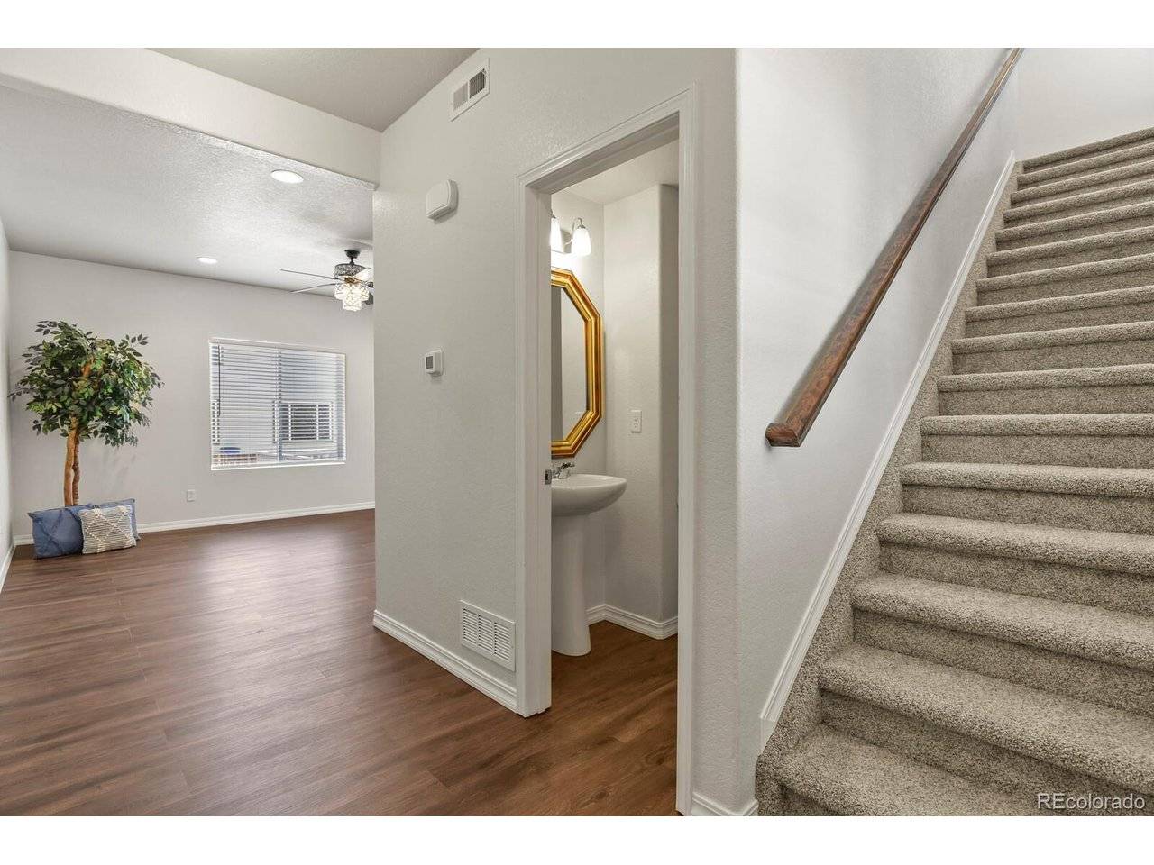 7983 Dry Willow, Colorado Springs, CO 80908